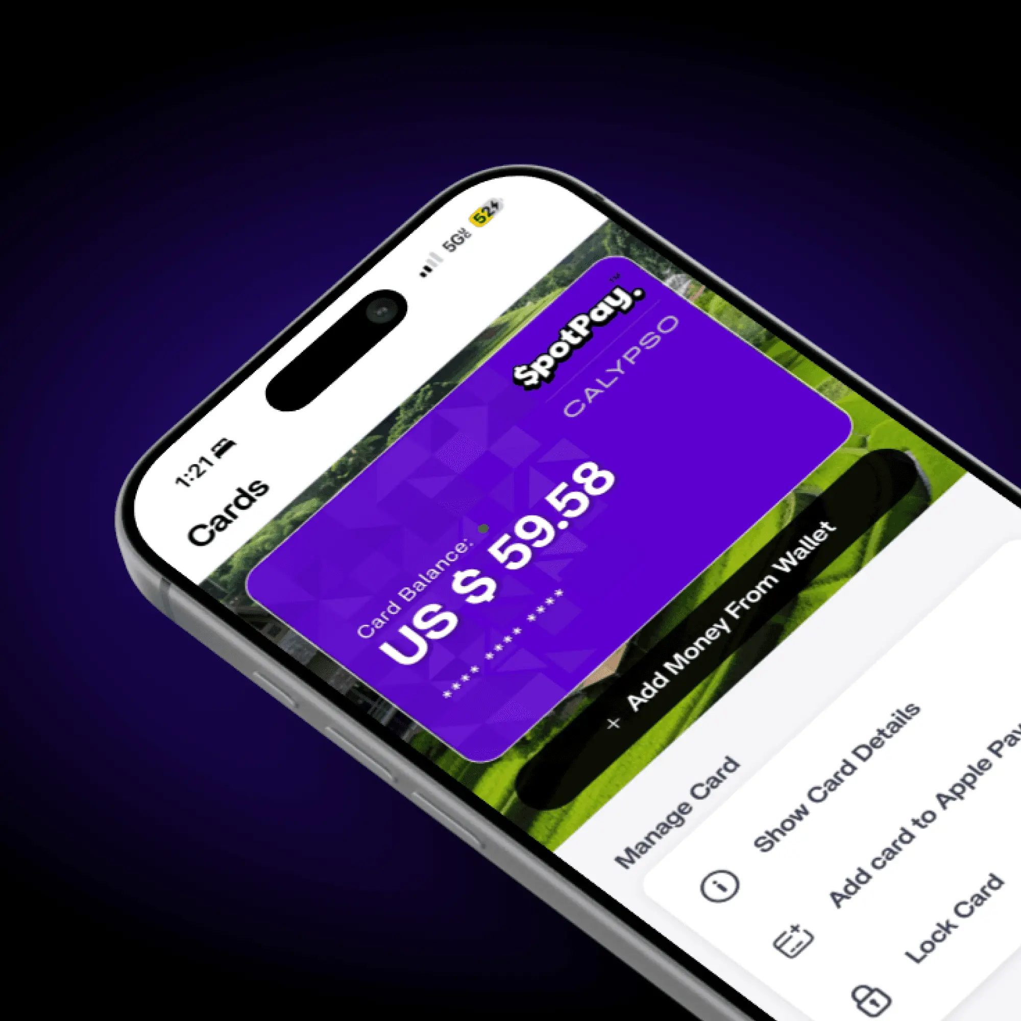 SpotPay Calypso Card